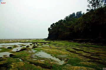 DSC09734.jpg