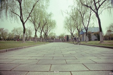 DSC00354.jpg