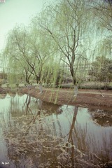 DSC00357.jpg