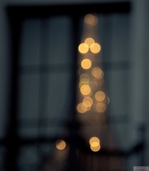 504
