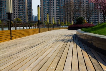 DSC00486.jpg