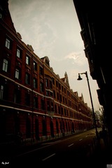 DSC00508.jpg