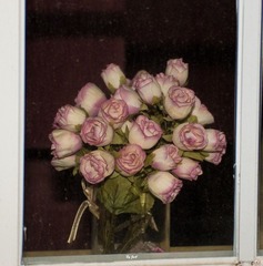 DSC07795.jpg