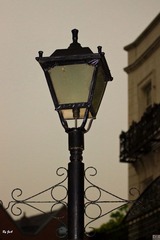 DSC07796.jpg