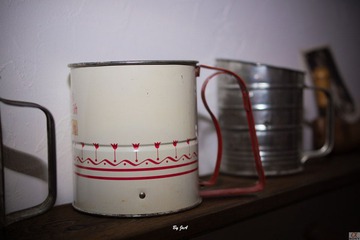 DSC00804.jpg