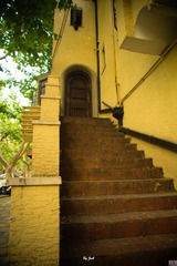 DSC02004.jpg