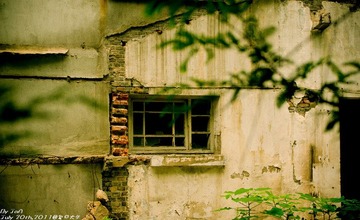 window.jpg