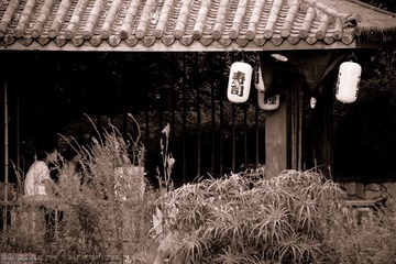 DSC02442.jpg