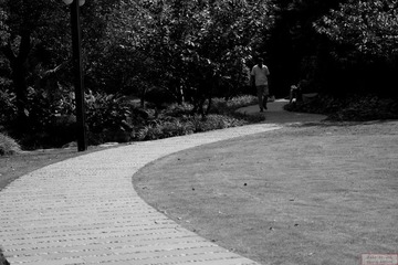 DSC02445.jpg