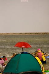 DSC02703.jpg