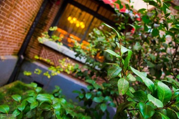 DSC02852.jpg
