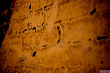 DSC02900.jpg