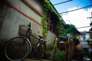 DSC02969.jpg