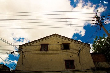 DSC02971.jpg
