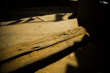 DSC02975.jpg
