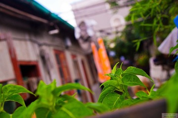 DSC02983.jpg