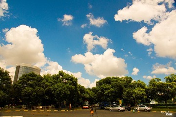 DSC03065.jpg