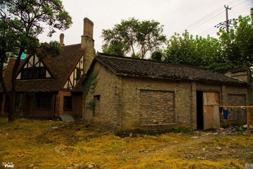 DSC03208.jpg
