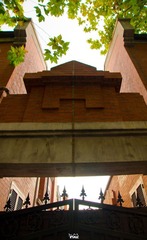 DSC03460.jpg