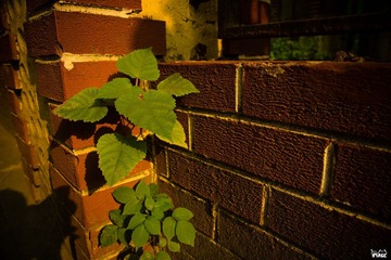 DSC03472.jpg
