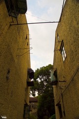 DSC03494.jpg