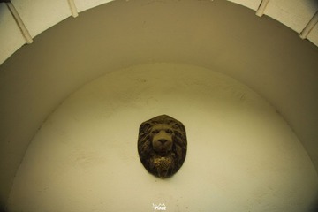 DSC03504.jpg