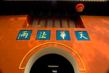 DSC05974.jpg