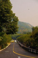 DSC05982.jpg