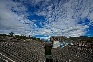 DSC06424.jpg