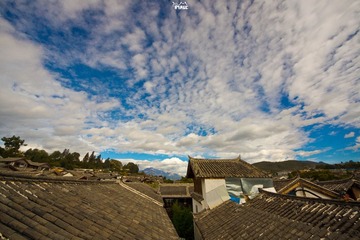 DSC06422.jpg