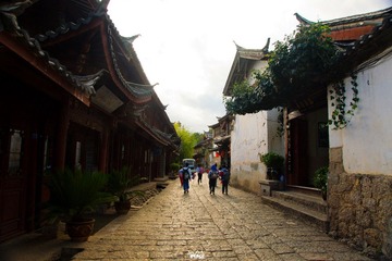 DSC06250.jpg