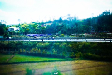 DSC06978.jpg