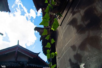 DSC06672.jpg