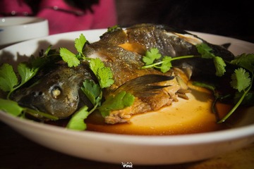 DSC06706.jpg