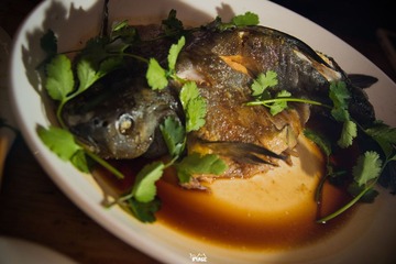 DSC06707.jpg