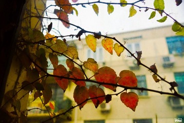DSC07143.jpg