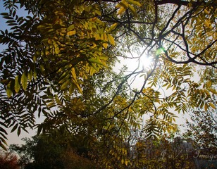 DSC07377.jpg