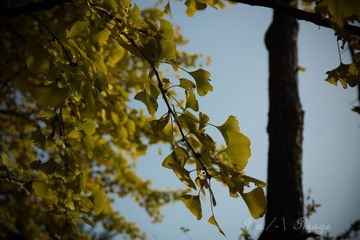 DSC07379.jpg