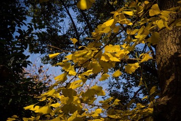 DSC07394.jpg