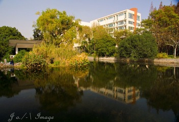 DSC07403.jpg