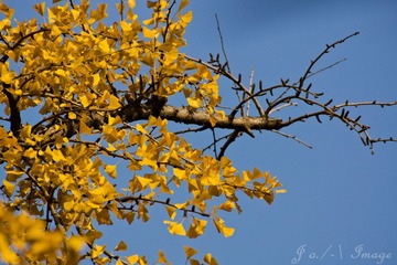 DSC07440.jpg