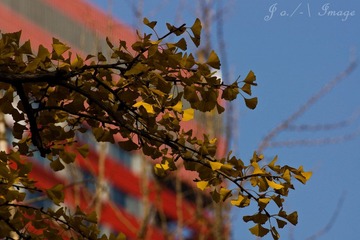 DSC07447.jpg