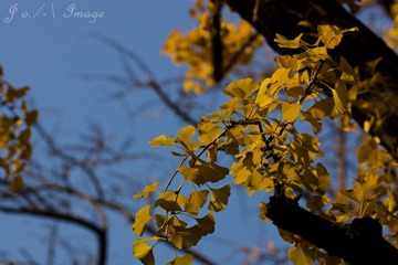 DSC07448.jpg