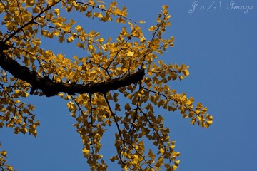 DSC07456.jpg