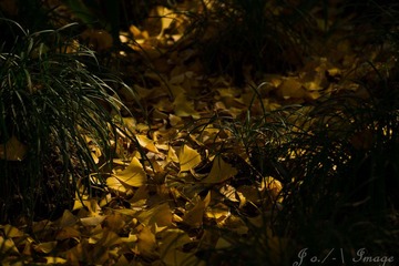 DSC07457.jpg