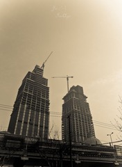 DSC08559.jpg