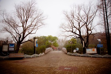 DSC09308.jpg