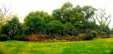 DSC09358.jpg
