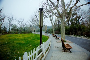 DSC09362.jpg