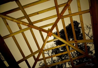 DSC09392.jpg